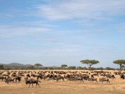 Western_Corridor2009-43